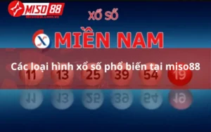 Các loại hình xổ số phổ biến tại miso88