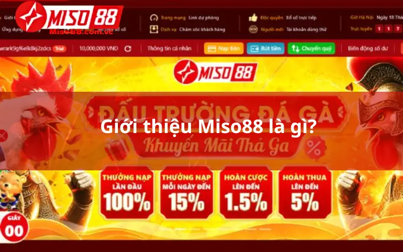 Giới thiệu Miso88 là gì?