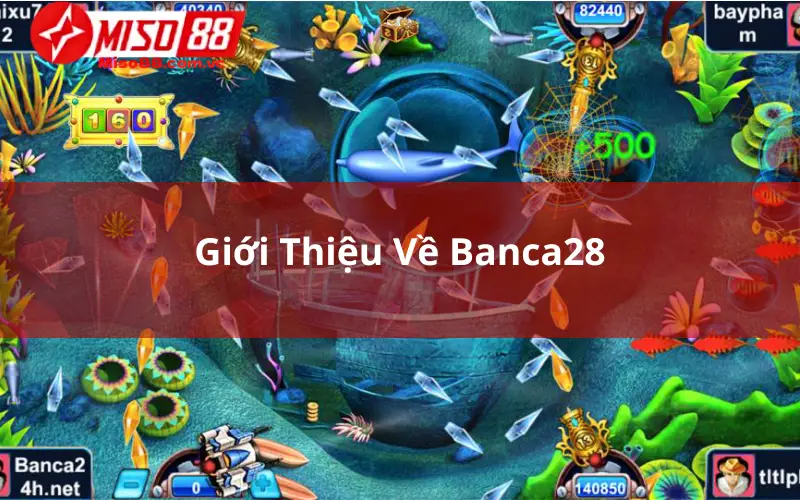 Giới Thiệu Về Banca28