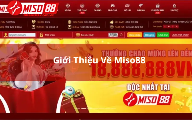 Giới Thiệu Về Miso88