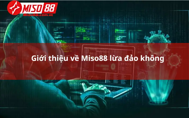 Giới thiệu về Miso88 lừa đảo không?