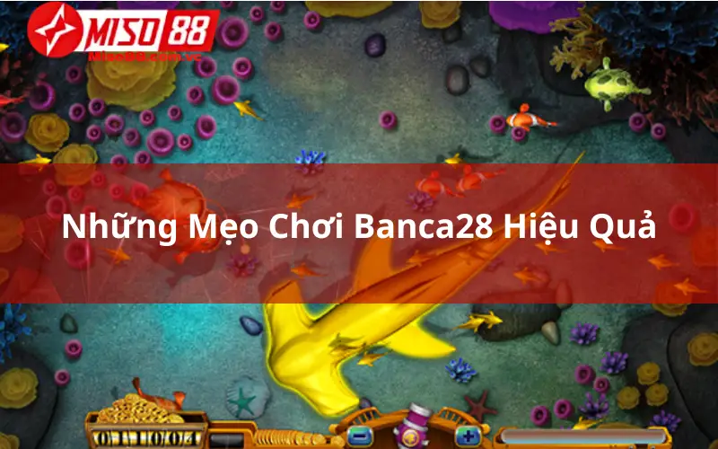 Những Mẹo Chơi Banca28 Hiệu Quả