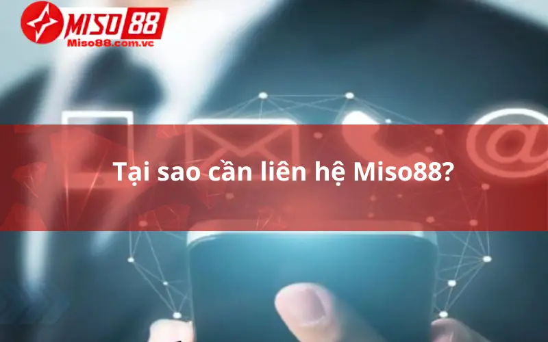 Tại sao cần liên hệ Miso88?