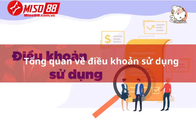 Tổng quan về điều khoản sử dụng